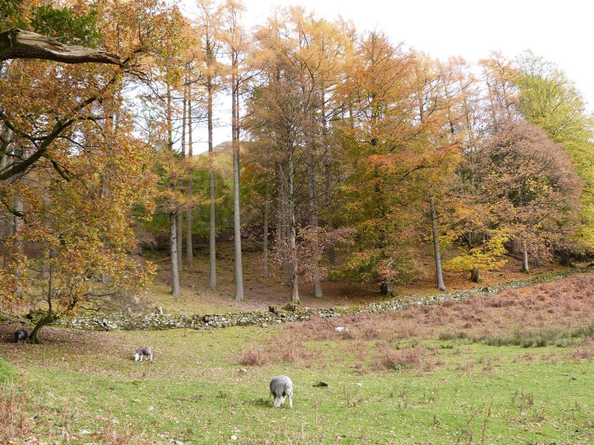 Hazel - Woodland Cottages Bowness-on-Windermere Luaran gambar