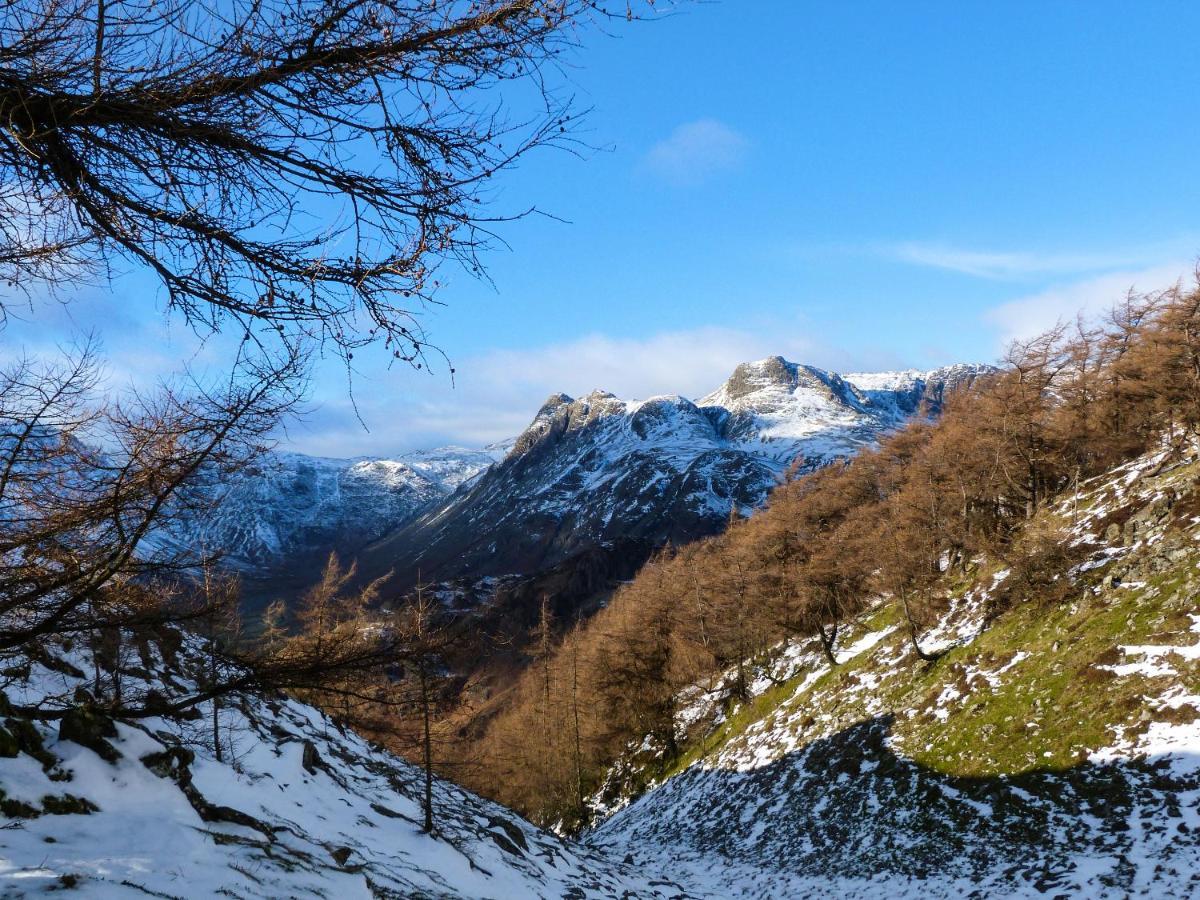 Hazel - Woodland Cottages Bowness-on-Windermere Luaran gambar